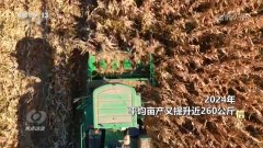 核心决心2024！本年我国粮食产量初次跨越