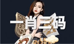 2019玻色表十二生肖的陈列表