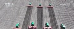 全国春播加快推进 夏粮出产环节期各地全
